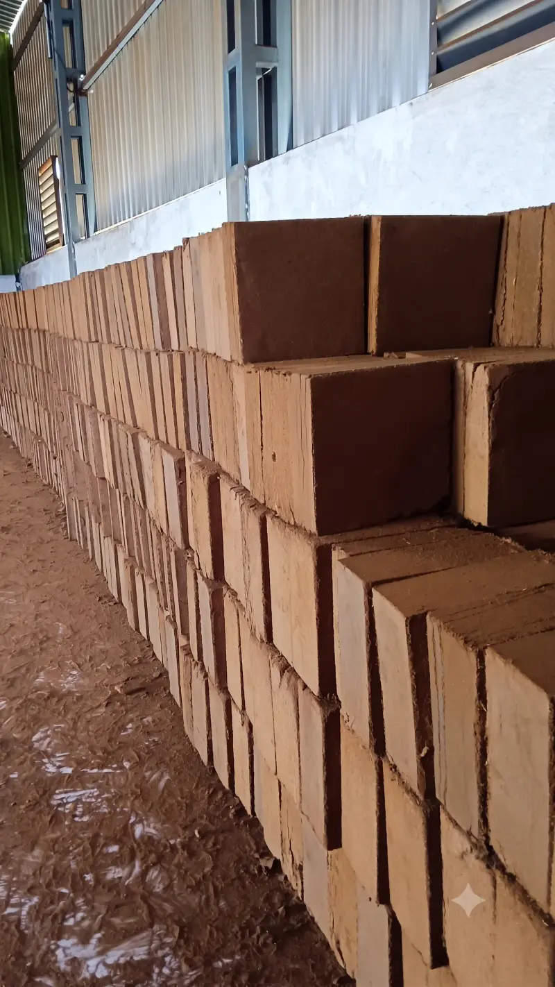 Export Container Loading of Premium Cocopeat 5KG Blocks - Direct Manufacturer in India